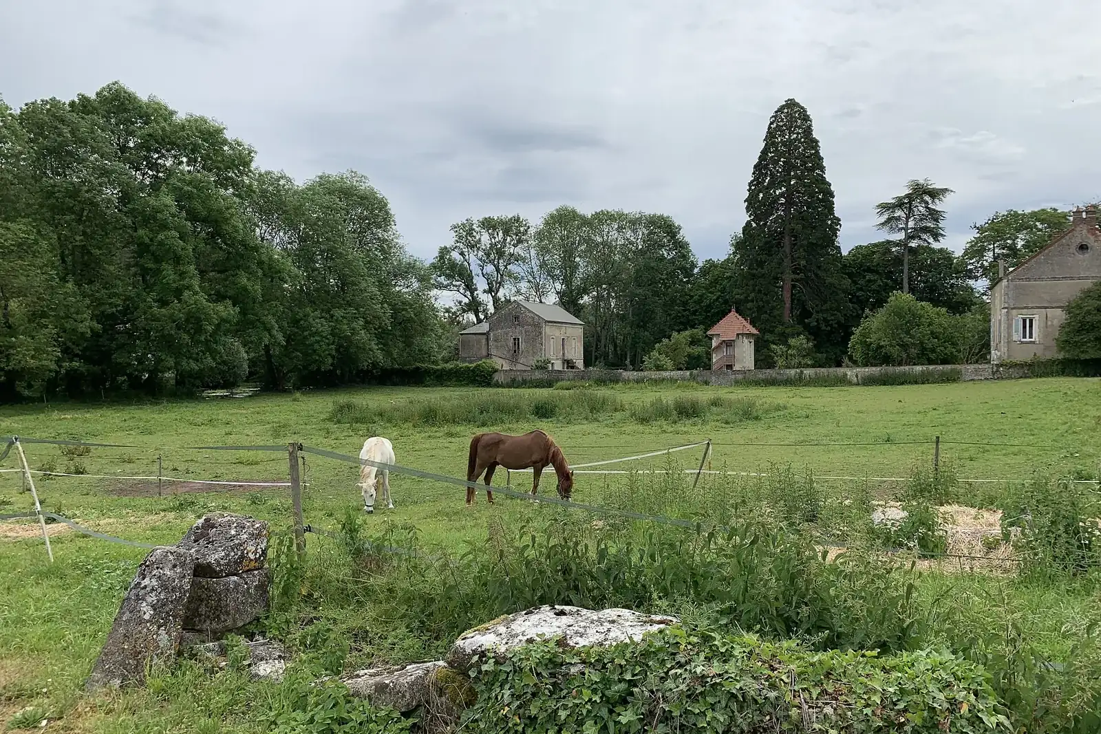 Pré parsemé de pierres où paissent deux chevaux, des maisons de village et de grands arbres au fond