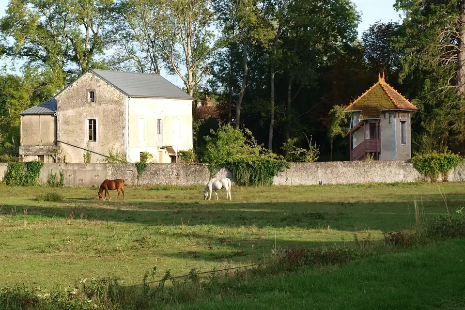Une maison de bourg en pierre et un petit pavillon au bord d'un pré où paissent deux chevaux