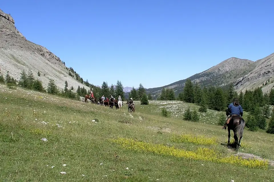 Une file de cavaliers en randonnée dans une large vallée de montagne herbeuse, entre des pentes rocheuses et des sapins